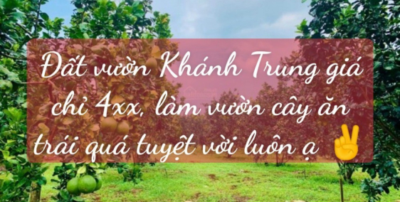 BÁN ĐẤT XÀO KHÁNH VĨNH PHÙ HỢP ĐẦU TƯ, LÀM VƯỜN CÂY ĂN TRÁI