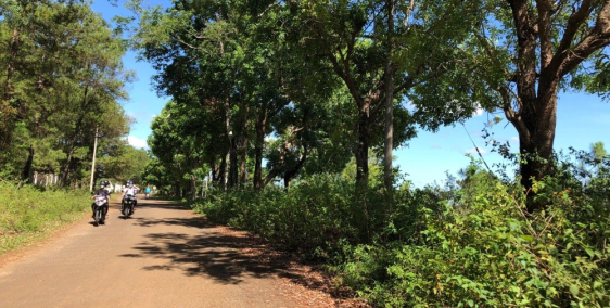 Đất Biển Hồ CỰC KỲ RẺ , 50m bám đường