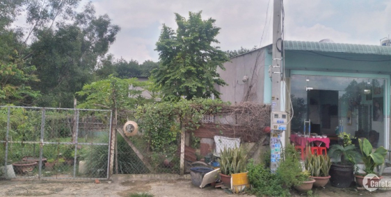 Bán đất mặt tiền đường D10. An Tây, Bến Cát, Bình Dương diện tích 3.300m2 giá rẻ