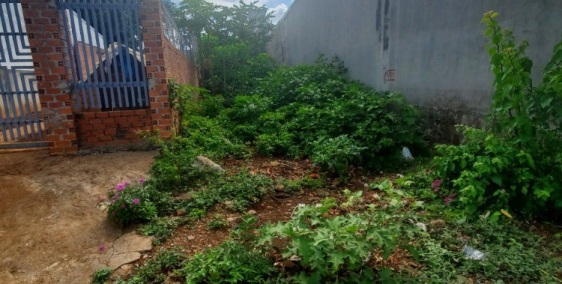 Cần bán lô đất đối diện dự án Thành Phố Cà Phê Trung Nguyên dự án hàng đầu tại B