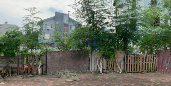 Chạy nợ bán lô đất xây biệt thự tại khu đấu giá biệt thự 31ha Trâu Quỳ