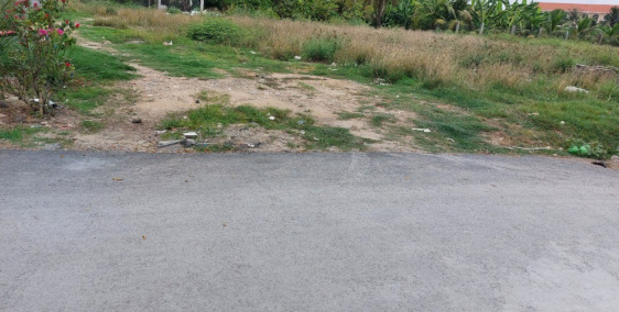 Đất thổ cư đường Đinh Đức Thiện, xã Bình Chánh, huyện Bình Chánh, Hồ Chí Minh