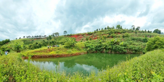  ĐẤT VƯỜN MẶT ĐƯỜNG SỔ RIÊNG GIÁ RẺ 