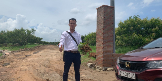 Bán vườn nhãn đang mùa thu hoạch sổ sách đầy đủ