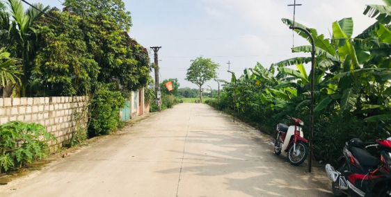 Chính chủ bán 2 lô Đấu Giá Mang Hạ, Yên Nam, Duy Tiên, Hà Nam