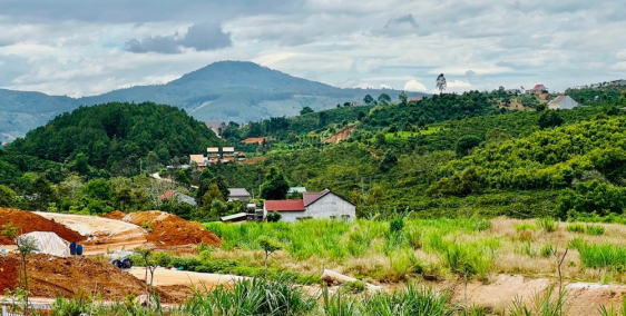 Nam Hà giá chỉ từ 2tr/m2, sát suối, view đồi thông. QH full thổ. Betong 5m đẹp.