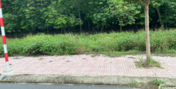 Đất nền bến cát bình dương đẹp