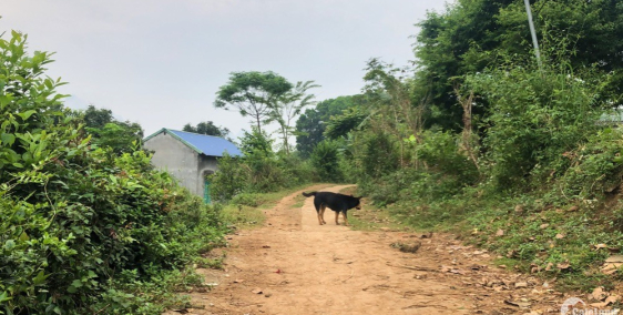 Bán lô đất 1996m2 có 400m thổ cư giá chỉ 1 tỷ 9 ơt Cao Phong Hoà Bình