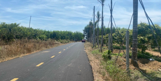Kẹt tiền cần bán gấp mảnh vườn cây ăn trái mặt tiền đường nhựa Bình Châu