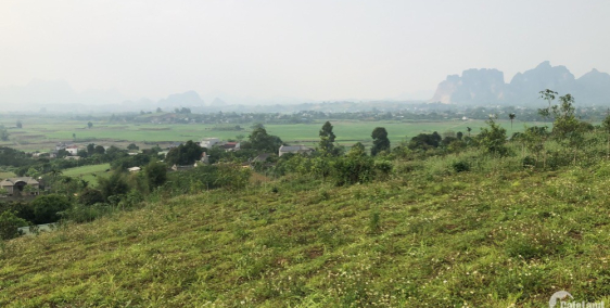 Lô đất 3200m2 có 200 tc gần Trường.Chợ .UBND giá chỉ 1x tỷ ở Cao Phong Hoà Bình