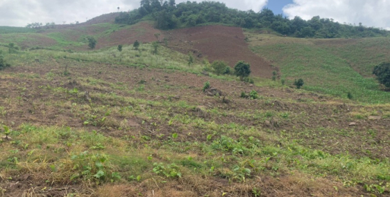 Bán đát Mộc Châu, Chiếng Sơn, 3,5ha, view đỉnh Pha Luông.