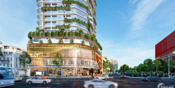 MỞ BÁN CHÍNH THỨC CĂN HỘ CHUNG CƯ CAO CẤP PHẠM NGỌC THẠCH T&T ĐỐNG ĐA