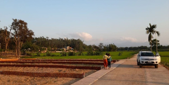 Đất View Cánh Đồng Lúa, Hồ Sen Mát Mẻ