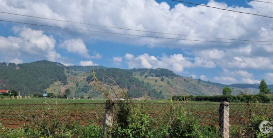 Em bán lô đất giá đầu tư tại TÀ NUNG .CHỈ 11TR/M , SIÊU RẺ