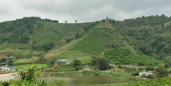 Bán nhanh mảnh đất view hồ cực đẹp tại Cao Phong, Hòa Bình