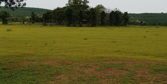 Bán 7328m2 đất sào hoà thắng sổ có đường đã gia hạn 2070 chỉ 989tr Lh 0938677909