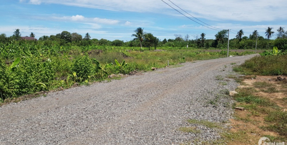 Chính chủ cần bán 2 sào đất vườn Sông Trầu, Trảng Bom, Đồng Nai. Giá đầu tư