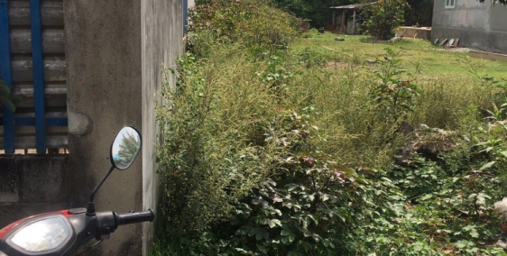 Ngộp đất bán nhanh 230m2 đã thổ sẵn, Rừng Sến, TL9 giá 1,xxx, SHR