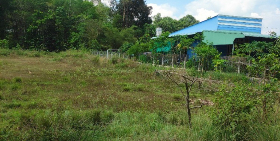 Chính chủ cần bán Đất vườn có sổ hồng riêng, diện tích 500m2 Nhuận Đức, Củ Chi