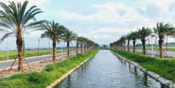 Đất nền tự xây đối diện khu công nghiệp