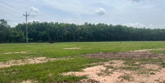 Qlo50 có shr đất thổ cư hỗ trợ ko lãi suata