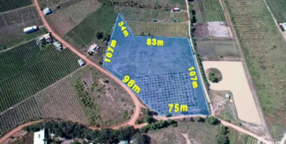 Bán đất Tân Nghĩa Hàm Tân Bình Thuận, Góc 3 Mặt Tiền,16503M2, phủ Hồng.