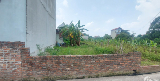 ĐẤT ĐẸP CẦN BÁN 150m2 giá chỉ 1xtr/m2 ở xã Đông Tảo_cực kỳ tiềm năng_Lh chốt đất