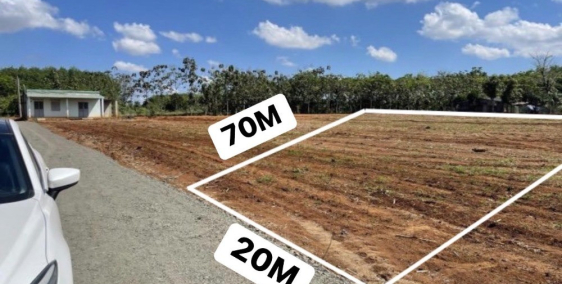 Cơ hội sở hữu đất 1000m2 Bình Dương, GIÁ chỉ từ 1tr3/m2, SHR