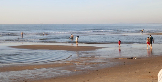 Bán gấp trả nợ ngân hàng đất cách biển 3km dt 3568 giá chỉ 749tr