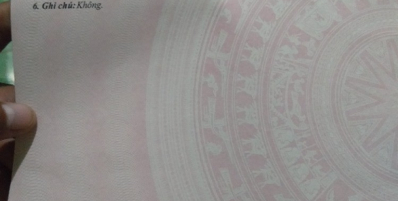 Đất rừng sản xuất quy hoạch cây lâu năm 5500mv