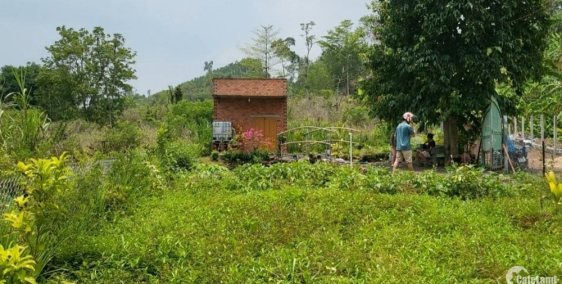 Chính chủ cần bán mảnh đất xinh như mộng dưới chân núi Tiên