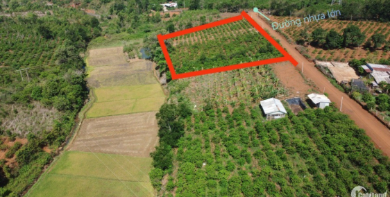 Cần bán nhanh hơn 3 sào đất Ia Kênh view đẹp gần trục đường lớn