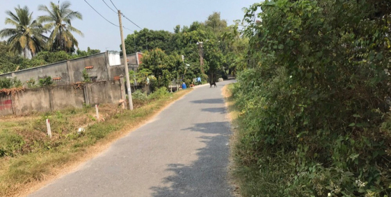 Chính chủ bán đất thổ cư đường 647 cách ql22 70 m,thuận tiện giao thông