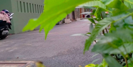 Bán nhà gần Công Viên văn hóa,  HXH Nguyễn Văn Lượng 57m2 5.6 tỷ thương lượng.