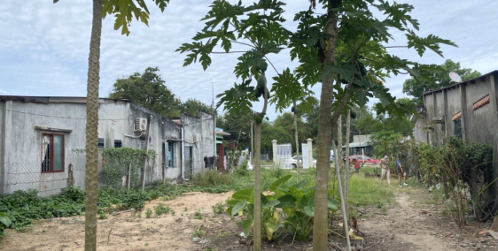 Bán gấp 479m2 đất mặt tiền đường nhựa kế bên Trường Cấp 3 Phú Hòa Đông