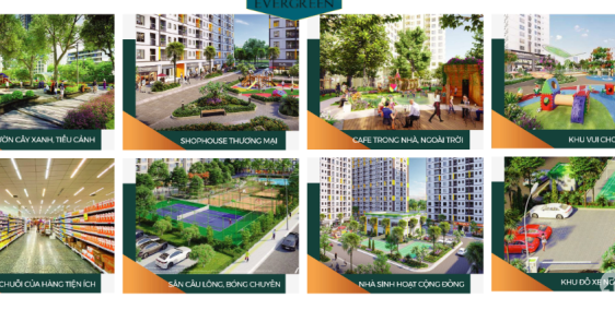 Bán chung cư giá rẻ Evergreen Việt Yên Bắc Giang