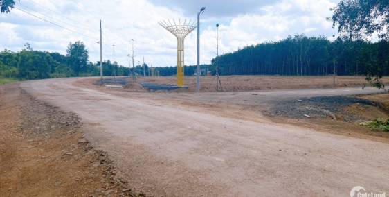 Tôi cần bán 100 lô thổ cư sổ sẫn kế khu công nghiệp becamx