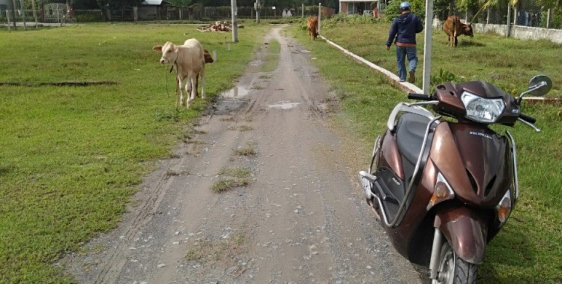 Chính chủ gứi bán lô đất 5x35 full thổ nằm mặt tiền N2 vào 500m,