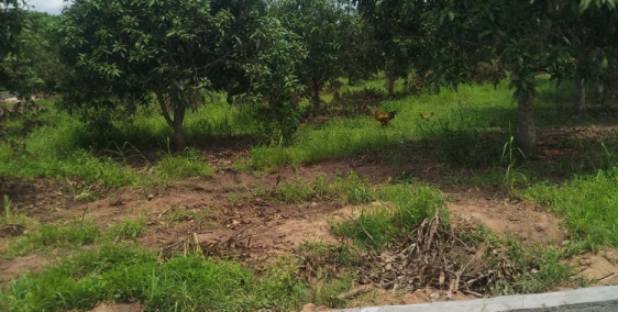 Bán đất sào Bình Châu, sổ đường nhựa thể hiện, suối nc nóng 2km, kề quỹ đất Nova