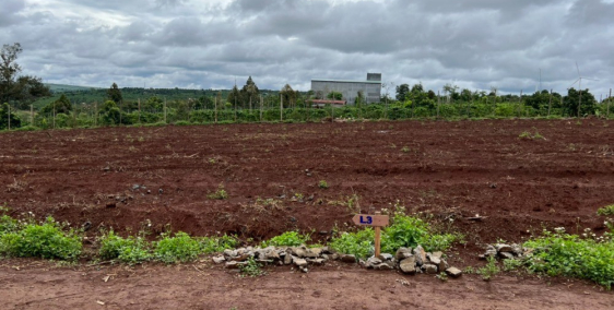 Đất nền Gia Lai, View Hồ , điện gió
