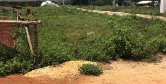 Bán lô đất full xây dựng 2 mặt tiền ở Tà Nung TP Đà Lạt.