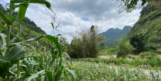 Bán đất HÀ GIANG- khu nghỉ dưỡng cao cấp giá rẻ cho nhà đầu tư