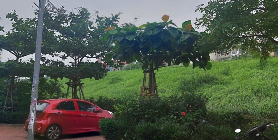 Gấp Gấp nhà C4 Mặt đường Ngọc Thụy, Long Biên già 120tr/m2