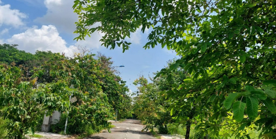 Đất đường oto 10m , 1/ Nguyễn Duy Trinh , 5 x 10 ( 50m ) vuông vức, chỉ 3.3tỷ