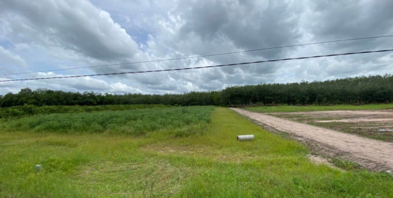 BÁN NHÀ CÓ NỘI THẤT 2 PHÒNG NGỦ 75M2 SÁT BÊN GÒ VẤP