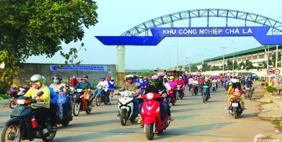 10 nền đất sổ hồng riêng huyện dương minh châu tây ninh chỉ từ 480tr