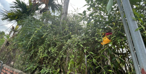 SIÊU HIẾM CẦN BÁN lô góc 750m2 chỉ 1xtr/m2 Khoái Châu_Sổ đỏ CC_đường thông.