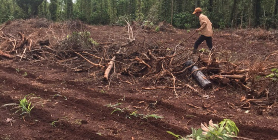 1 LÔ đất vuông vắn đường nhựa trục chính tại CƯ SUÊ