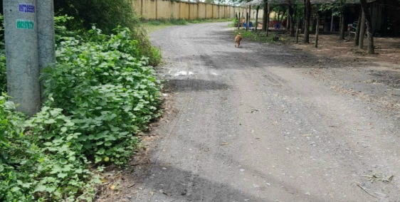 bán đất thổ cư đường 405 phước vĩnh an -củ chi