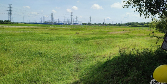 Đất Nguyễn Thị Rành , Nhuận Đức Củ Chi, sổ riêng 500m2 giá 1,9 tỷ ccg